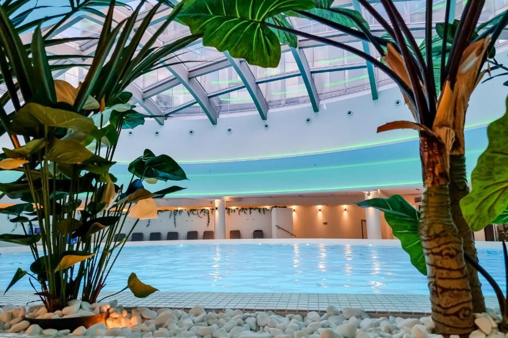 Basen z palmami w jasnej sali wellness
